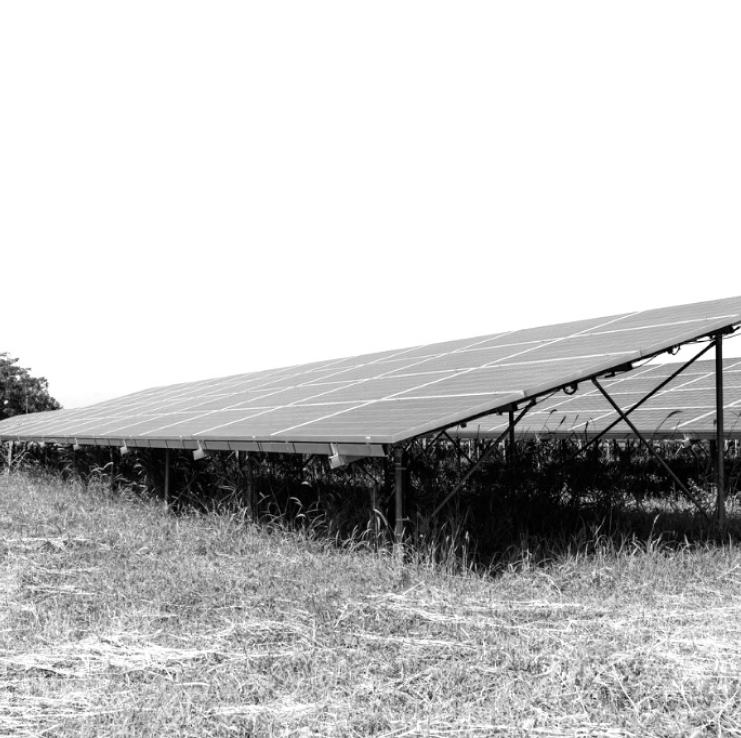 Image of solar panels