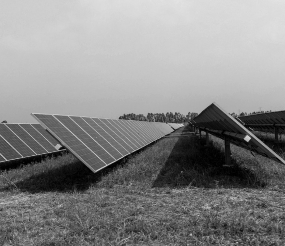 Image of solar panels